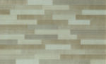 Campus Series - Image 4
